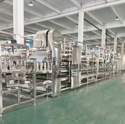 Standard Packaging Tofu Processing Equipment for Continuous Unmanned Production